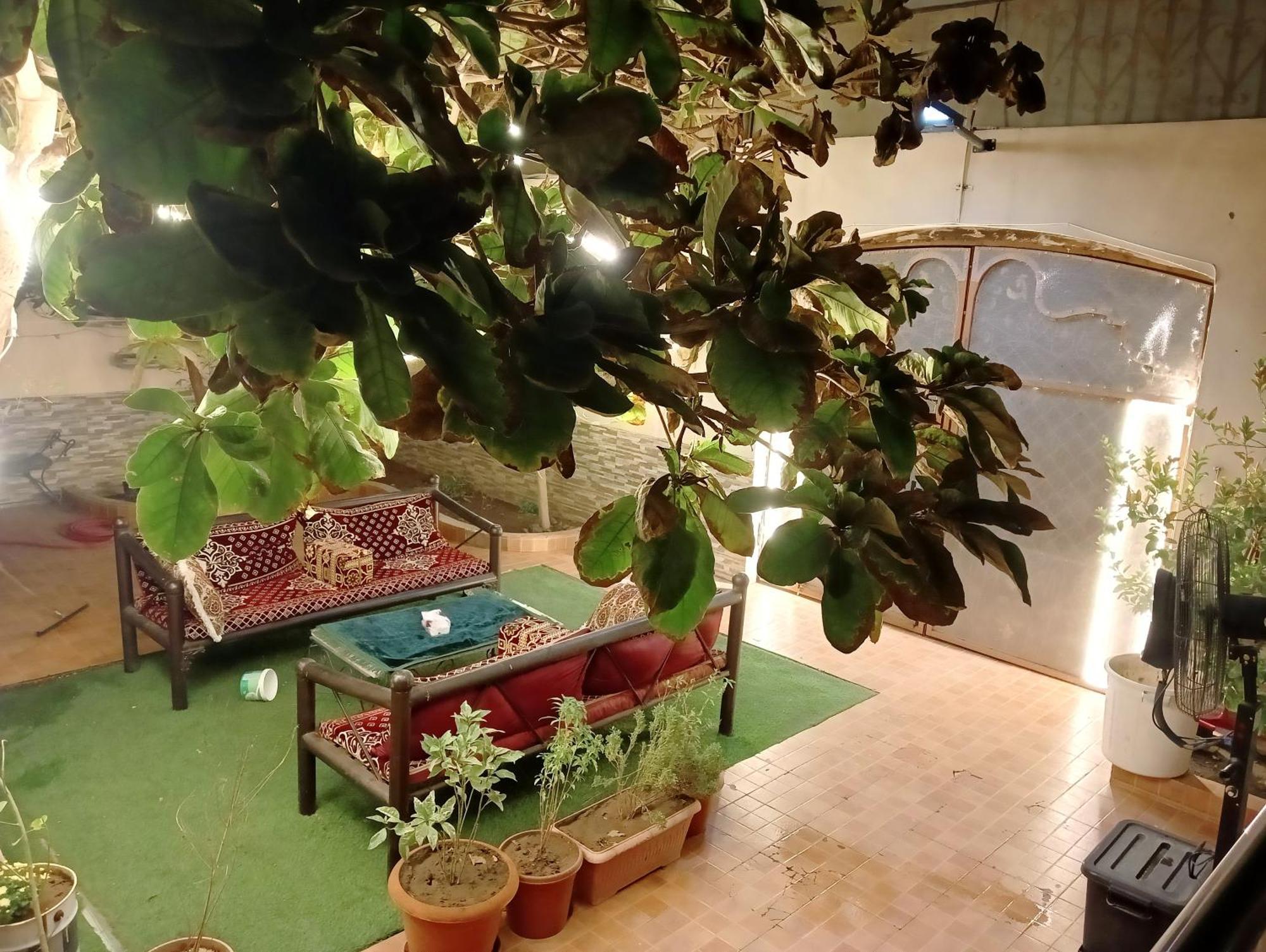 Villa Marmara Medina Ngoại thất bức ảnh