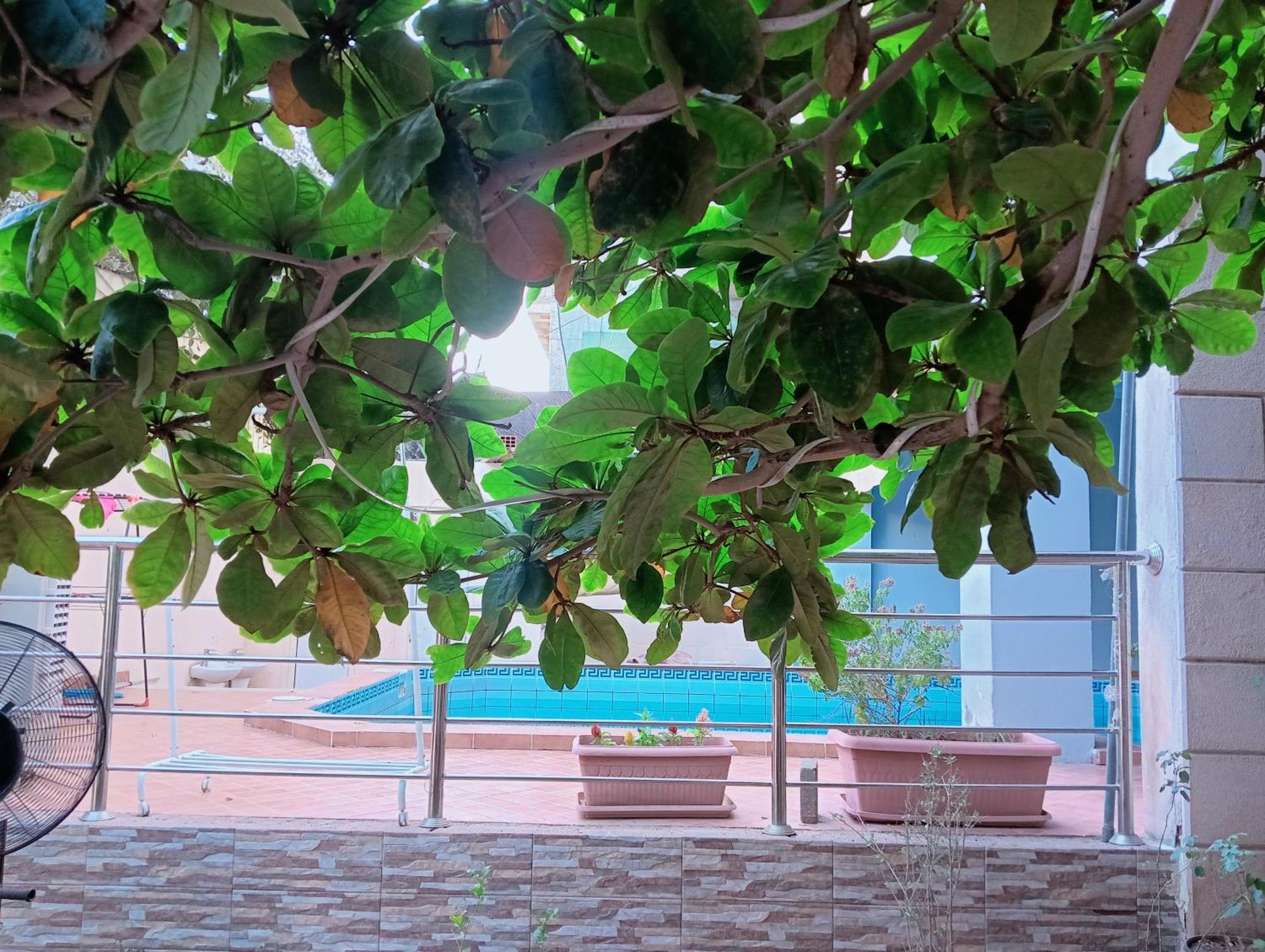 Villa Marmara Medina Ngoại thất bức ảnh